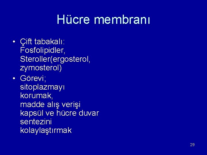 Hücre membranı • Çift tabakalı: Fosfolipidler, Steroller(ergosterol, zymosterol) • Görevi; sitoplazmayı korumak, madde alış