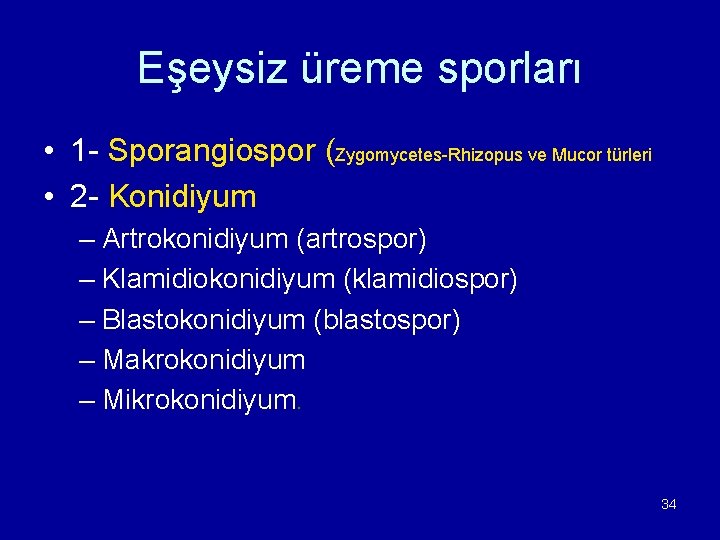 Eşeysiz üreme sporları • 1 - Sporangiospor (Zygomycetes-Rhizopus ve Mucor türleri • 2 -