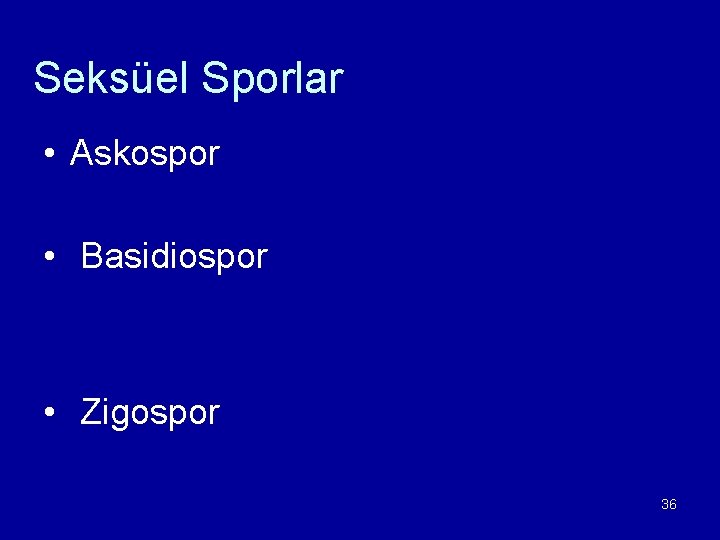 Seksüel Sporlar • Askospor • Basidiospor • Zigospor 36 