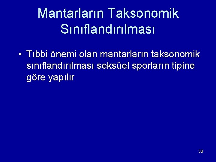 Mantarların Taksonomik Sınıflandırılması • Tıbbi önemi olan mantarların taksonomik sınıflandırılması seksüel sporların tipine göre