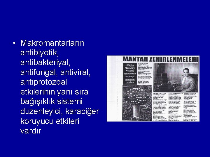  • Makromantarların antibiyotik, antibakteriyal, antifungal, antiviral, antiprotozoal etkilerinin yanı sıra bağışıklık sistemi düzenleyici,