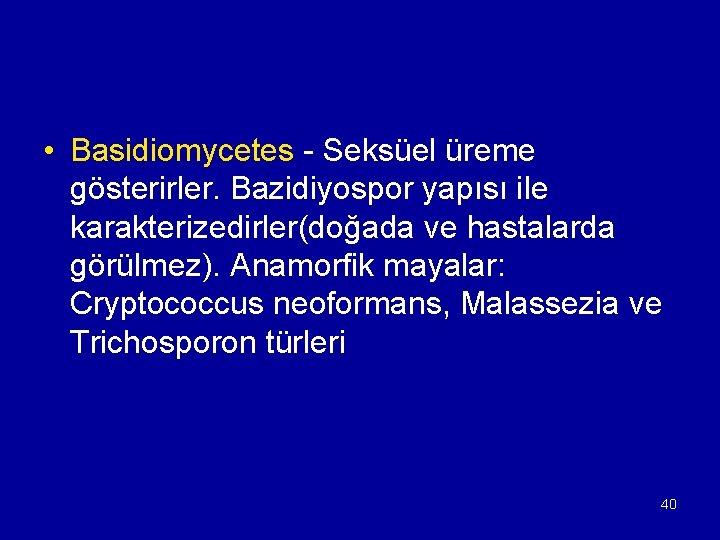  • Basidiomycetes - Seksüel üreme gösterirler. Bazidiyospor yapısı ile karakterizedirler(doğada ve hastalarda görülmez).