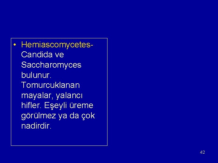  • Hemiascomycetes- Candida ve Saccharomyces bulunur. Tomurcuklanan mayalar, yalancı hifler. Eşeyli üreme görülmez