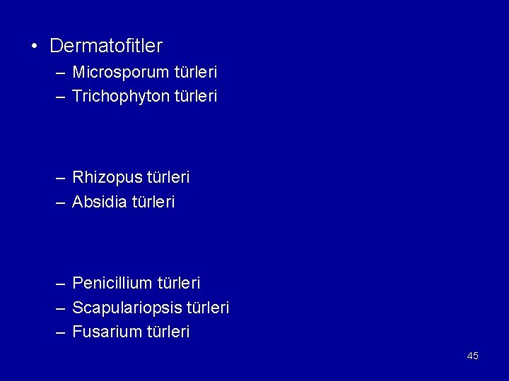  • Dermatofitler – Microsporum türleri – Trichophyton türleri – Rhizopus türleri – Absidia