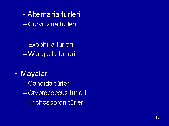  - Alternaria türleri – Curvularia türleri – Exophilia türleri – Wangiella türleri •