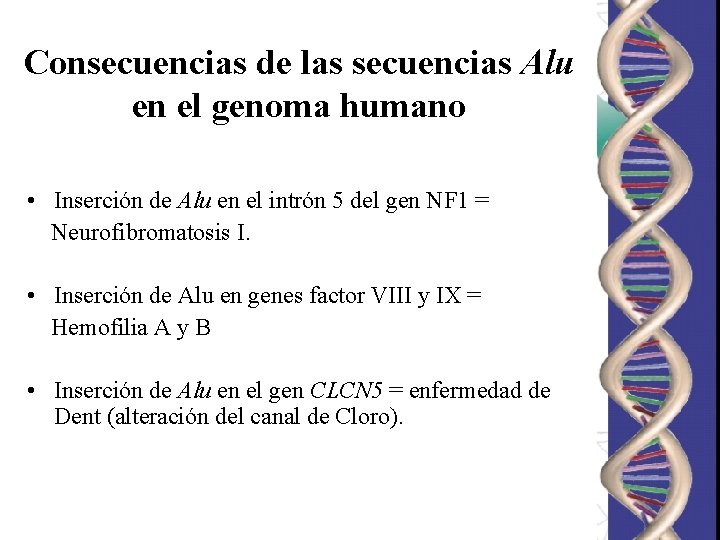 Consecuencias de las secuencias Alu en el genoma humano • Inserción de Alu en