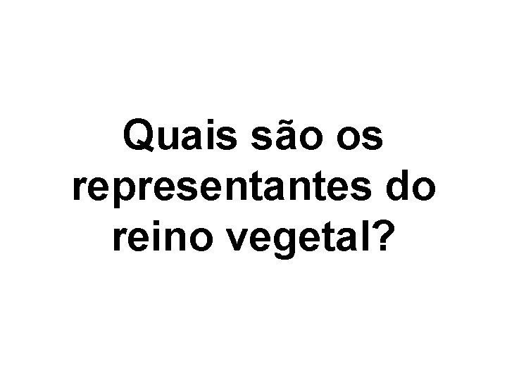 Quais são os representantes do reino vegetal? 