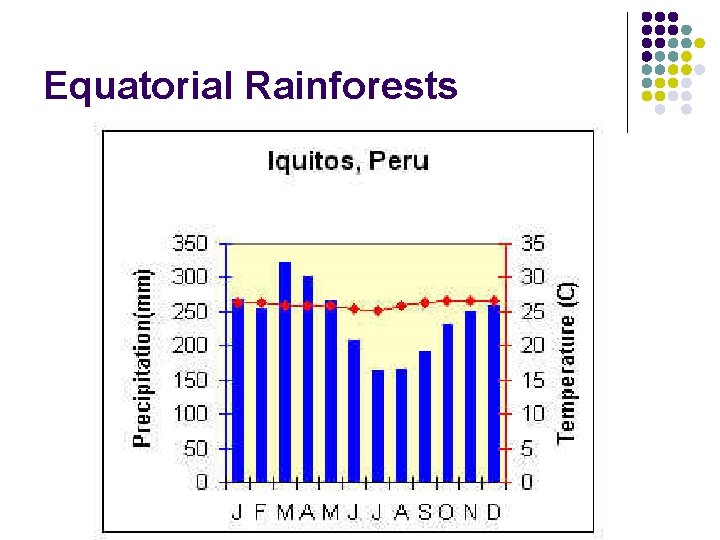 Equatorial Rainforests Equatorial Rainforests