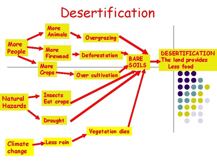 Desertification More Animals More People More Firewood More Crops Natural Hazards Overgrazing Deforestation BARE Desertification More Animals More People More Firewood More Crops Natural Hazards Overgrazing Deforestation BARE