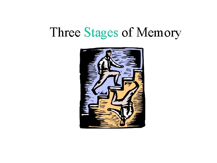 Three Stages of Memory 