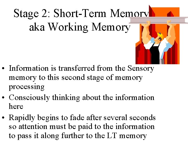 Stage 2: Short-Term Memory aka Working Memory • Information is transferred from the Sensory