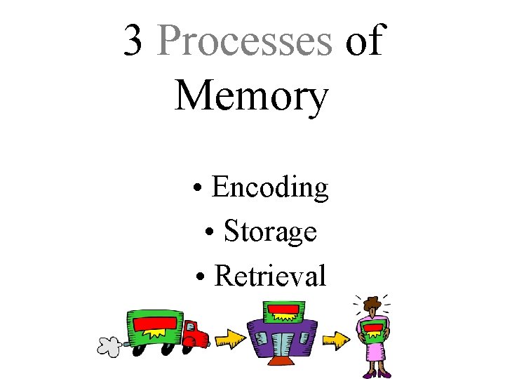 3 Processes of Memory • Encoding • Storage • Retrieval 