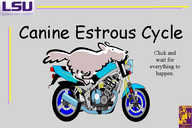 Canine Estrous Cycle Click and wait for everything to happen. 