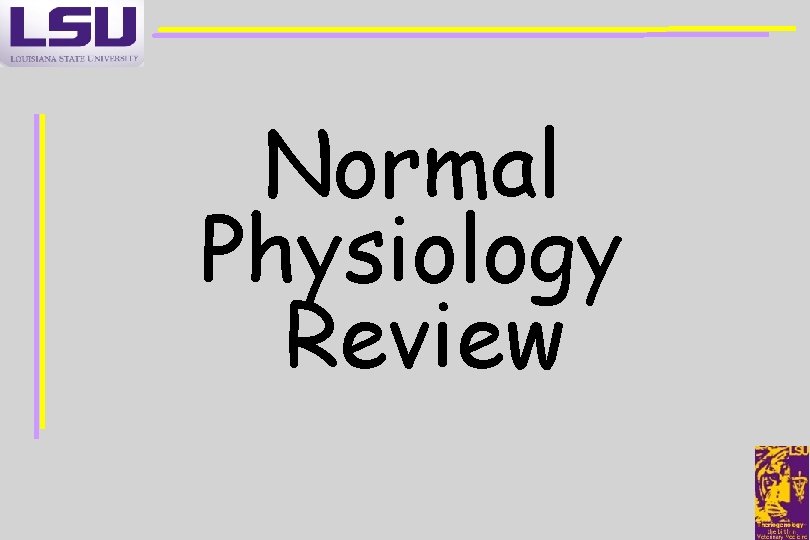 Normal Physiology Review 