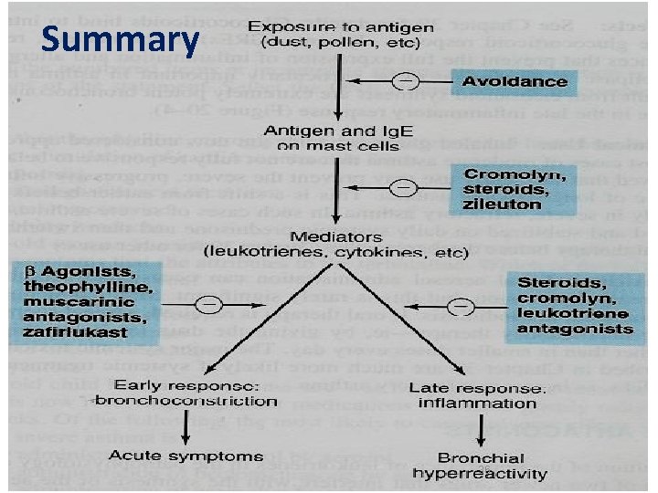 Summary 36 Summary 36