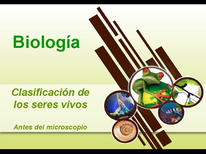 Biología Clasificación de los seres vivos Antes del microscopio 