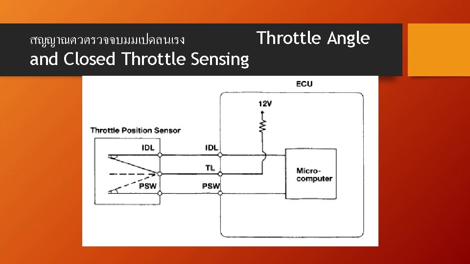 สญญาณตวตรวจจบมมเปดลนเรง Throttle Angle and Closed Throttle Sensing 