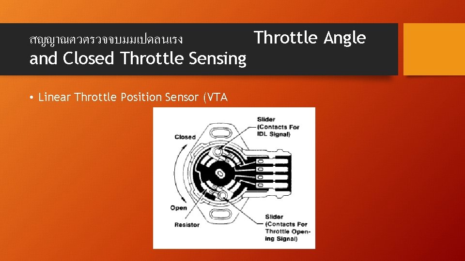 สญญาณตวตรวจจบมมเปดลนเรง Throttle Angle and Closed Throttle Sensing • Linear Throttle Position Sensor (VTA 