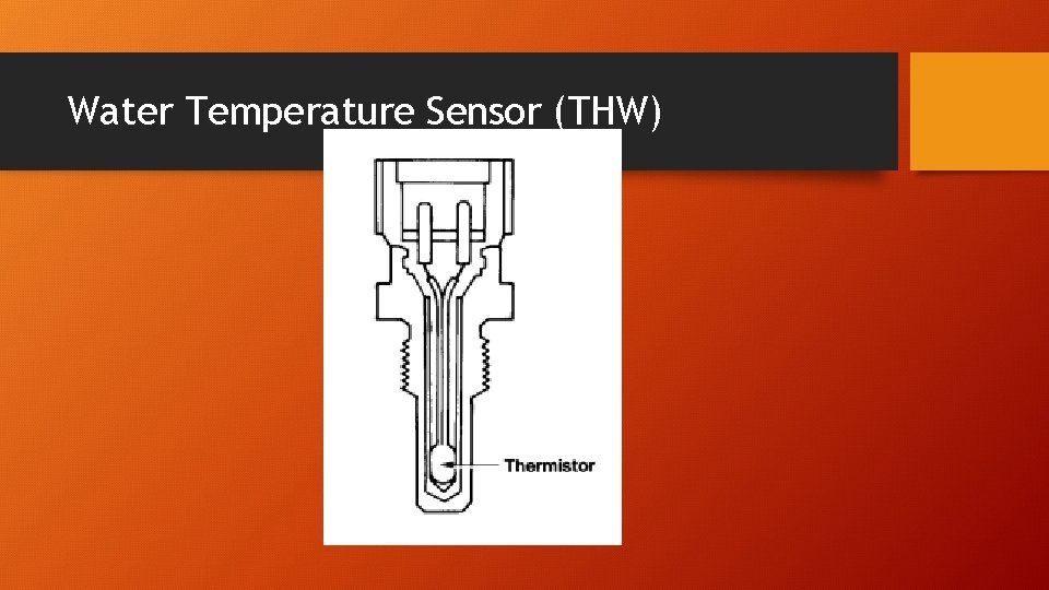 Water Temperature Sensor (THW) 