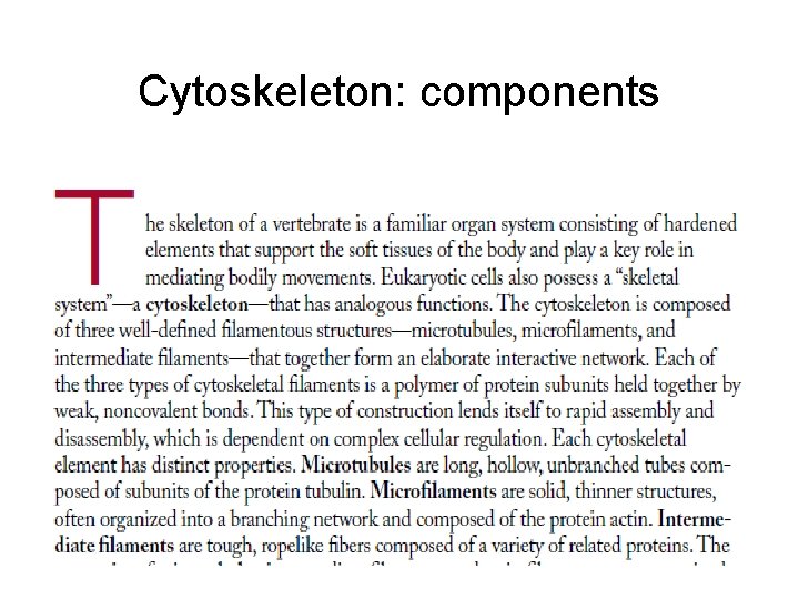 Cytoskeleton: components 