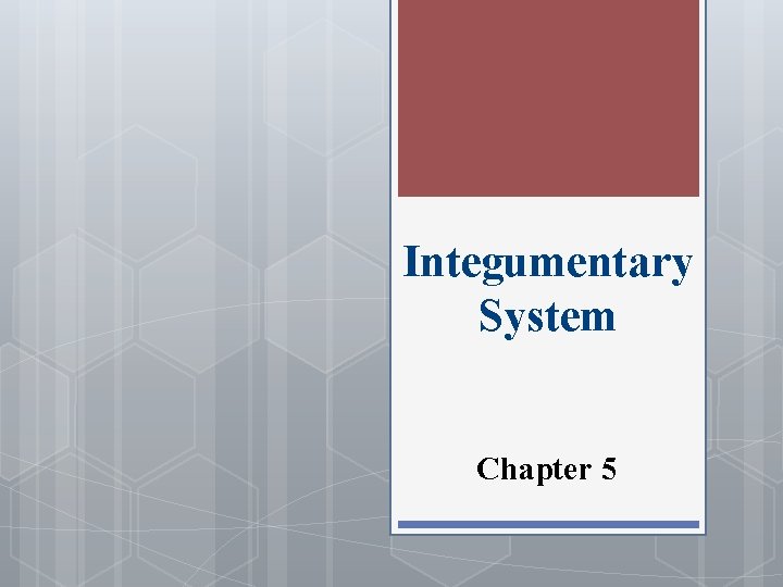 Integumentary System Chapter 5 