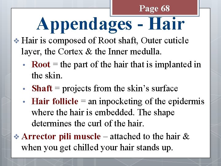 Page 68 Appendages - Hair v Hair is composed of Root shaft, Outer cuticle