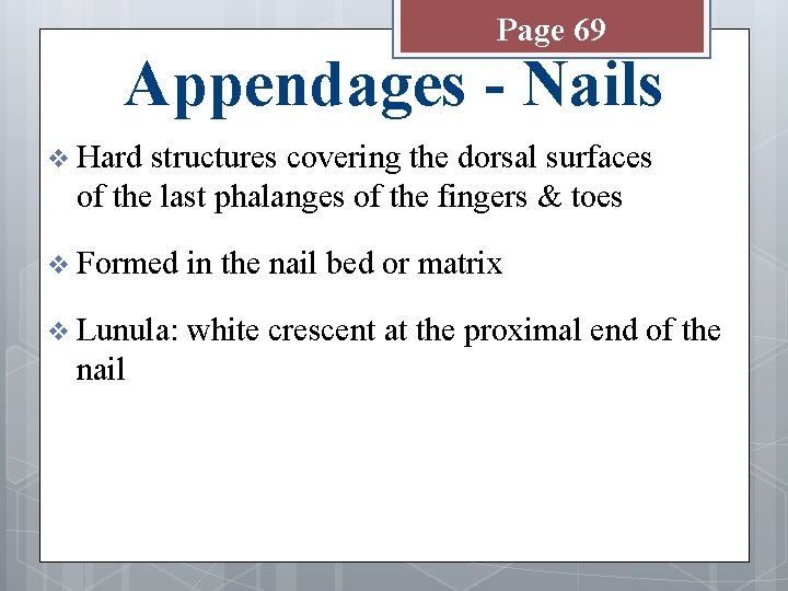 Page 69 Appendages - Nails v Hard structures covering the dorsal surfaces of the