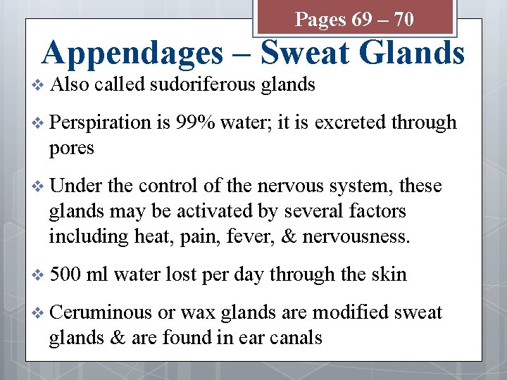 Pages 69 – 70 Appendages – Sweat Glands v Also called sudoriferous glands v