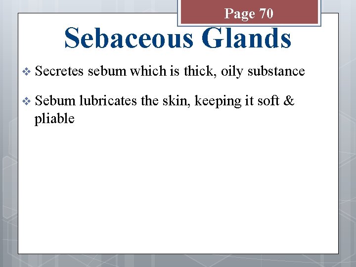 Page 70 Sebaceous Glands v Secretes v Sebum pliable sebum which is thick, oily