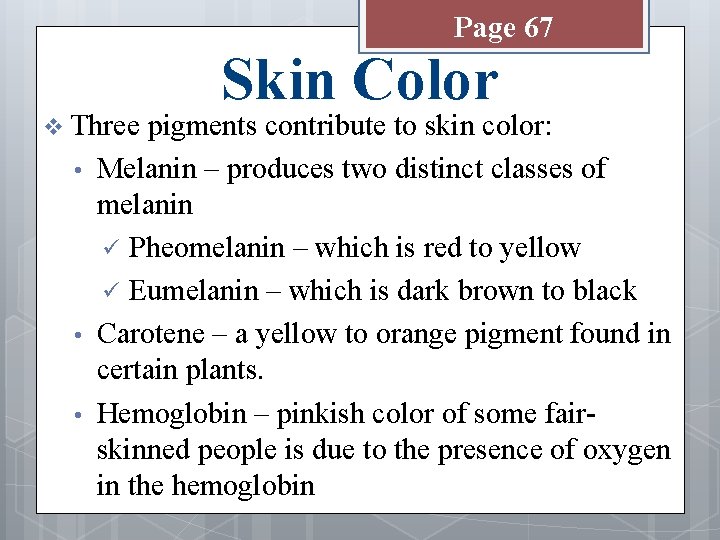 Page 67 v Three • • • Skin Color pigments contribute to skin color: