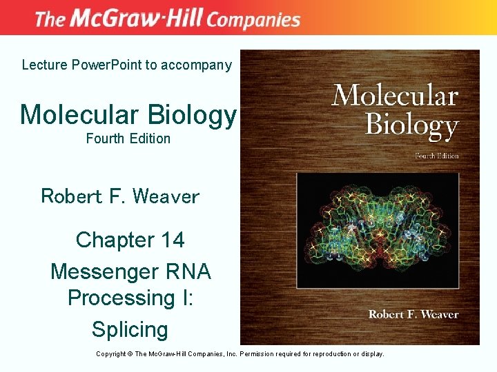 Lecture Power. Point to accompany Molecular Biology Fourth Edition Robert F. Weaver Chapter 14