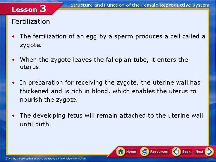 Lesson 3 Structure and Function of the Female Reproductive System Fertilization • The fertilization