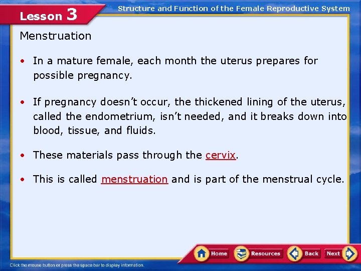 Lesson 3 Structure and Function of the Female Reproductive System Menstruation • In a