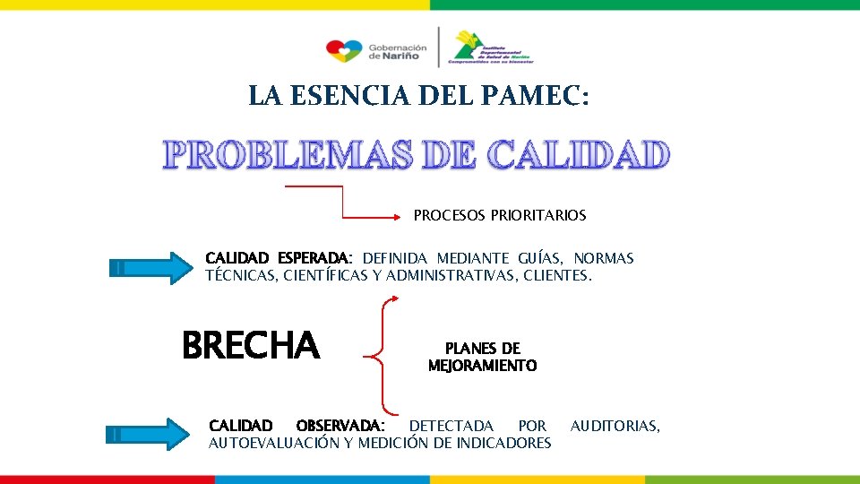 LA ESENCIA DEL PAMEC: PROCESOS PRIORITARIOS CALIDAD ESPERADA: DEFINIDA MEDIANTE GUÍAS, NORMAS TÉCNICAS, CIENTÍFICAS