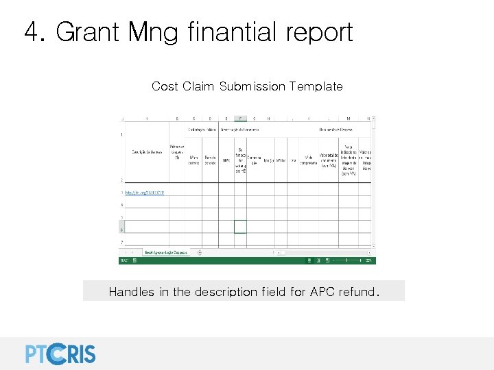4. Grant Mng finantial report Cost Claim Submission Template Handles in the description field