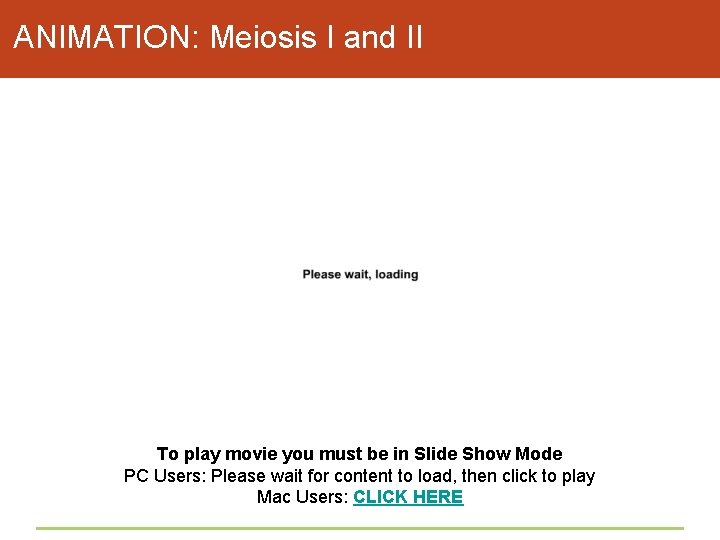 ANIMATION: Meiosis I and II To play movie you must be in Slide Show
