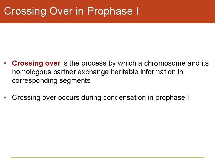 Crossing Over in Prophase I • Crossing over is the process by which a
