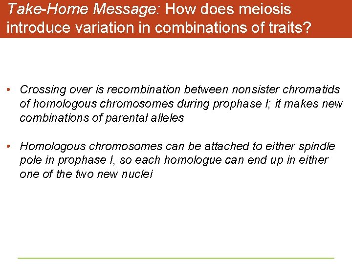 Take-Home Message: How does meiosis introduce variation in combinations of traits? • Crossing over