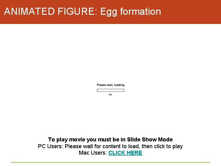 ANIMATED FIGURE: Egg formation To play movie you must be in Slide Show Mode