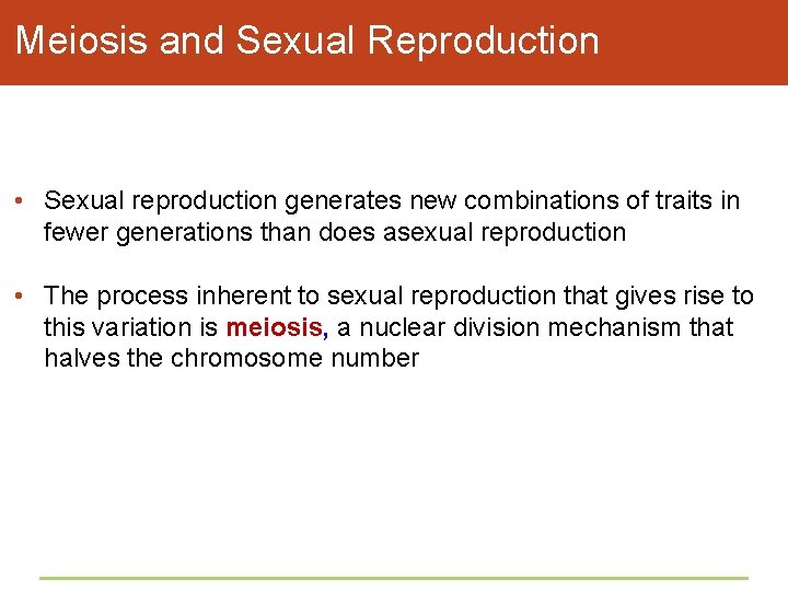 Meiosis and Sexual Reproduction • Sexual reproduction generates new combinations of traits in fewer