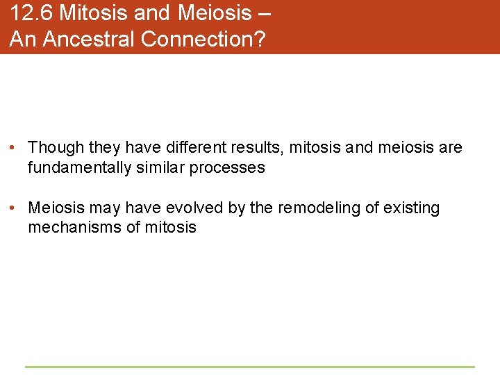 12. 6 Mitosis and Meiosis – An Ancestral Connection? • Though they have different