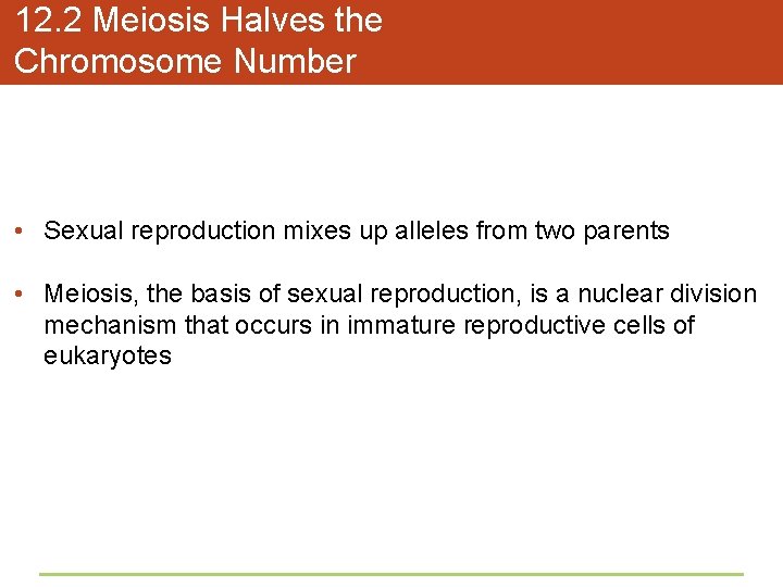 12. 2 Meiosis Halves the Chromosome Number • Sexual reproduction mixes up alleles from
