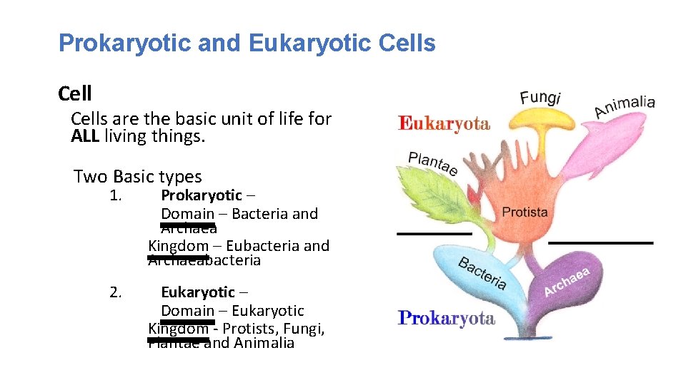 Prokaryotic and Eukaryotic Cells are the basic unit of life for ALL living things.