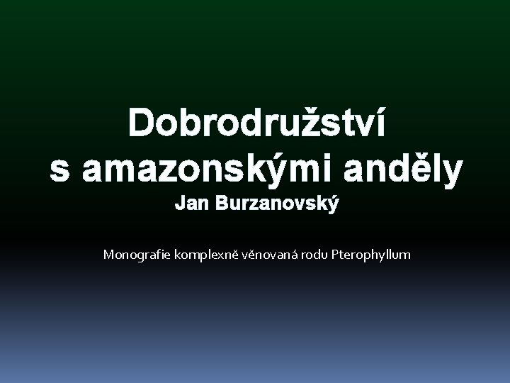 Dobrodružství s amazonskými anděly Jan Burzanovský Monografie komplexně věnovaná rodu Pterophyllum 