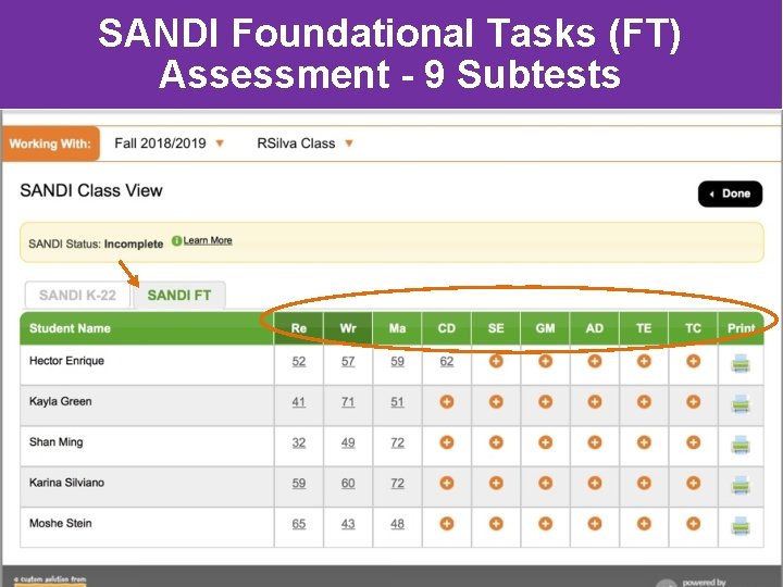 SANDI Foundational Tasks (FT) Assessment - 9 Subtests 