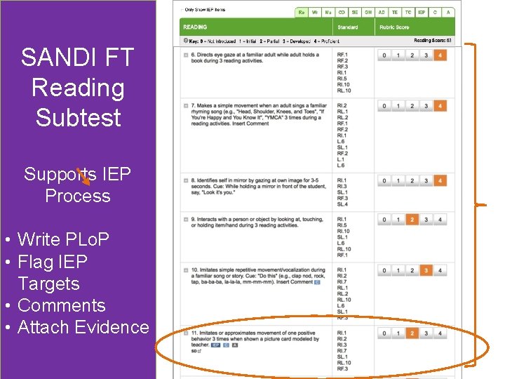 SANDI FT Reading Subtest Supports IEP Process • Write PLo. P • Flag IEP