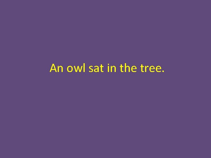 An owl sat in the tree. 