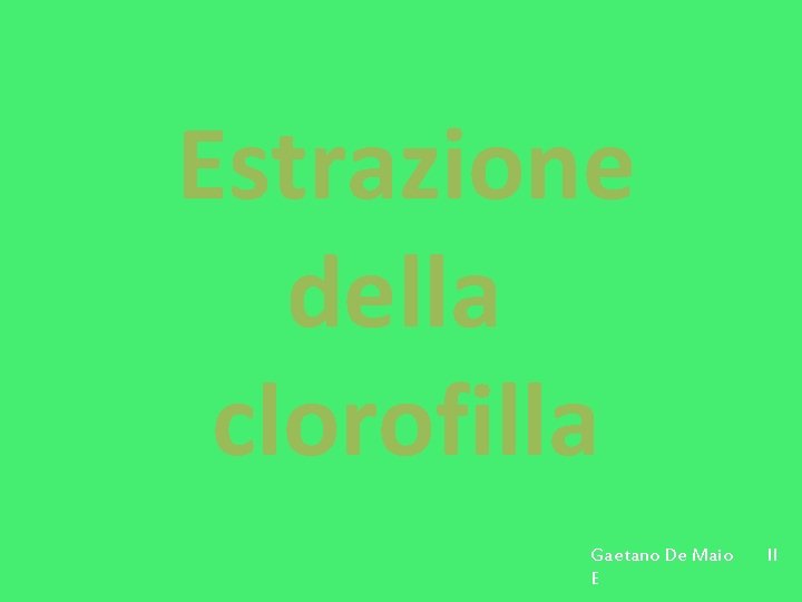 Estrazione della clorofilla Gaetano De Maio E II Estrazione della clorofilla Gaetano De Maio E II