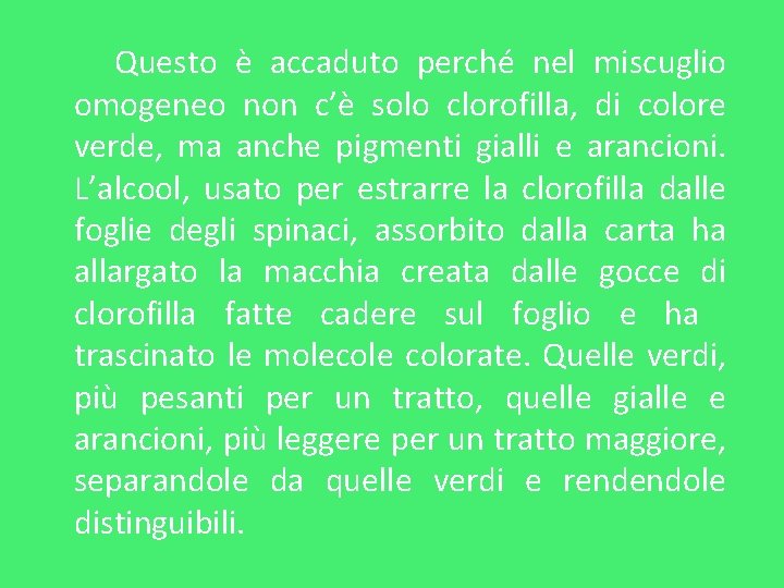 Questo è accaduto perché nel miscuglio omogeneo non c’è solo clorofilla, di colore verde, Questo è accaduto perché nel miscuglio omogeneo non c’è solo clorofilla, di colore verde,
