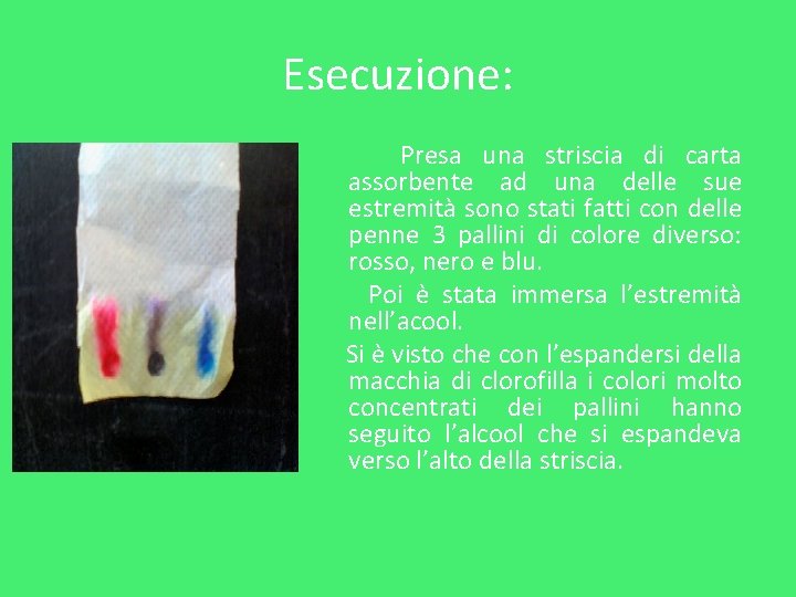 Esecuzione: Presa una striscia di carta assorbente ad una delle sue estremità sono stati Esecuzione: Presa una striscia di carta assorbente ad una delle sue estremità sono stati